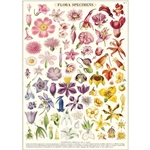 Cavallini Decorative Paper Sheet - Flora Specimens