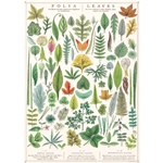 Cavallini Decorative Paper Sheet - Folia Leaves