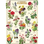 Cavallini Decorative Paper Sheet - Language of Flowers