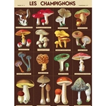 Cavallini Decorative Paper Sheet - Les Champignons