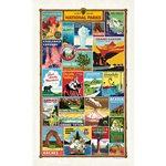 Cavallini Tea Towel - National Parks