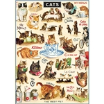 "Vintage Cat #2" Cavallini Decorative Paper - #2 20"x28" Sheet