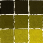 Roche Pastel Values Sets of 9 - Algae Green 5390 Series