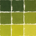 Roche Pastel Values Sets of 9 - Green Gold 5410 Series