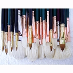 Daniel Greene Master Portraiture Set of 27 Silver Brushes