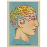 Cavallini Decorative Paper Sheet - Phrenology (Brain)