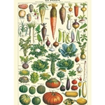 Cavallini Decorative Paper - Le Jardin 20"x28" Sheet